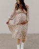 PinkBlush PinkBlush Floral Chiffon Ruffle Maxi Dress - 2