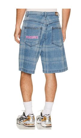 Pleasures Pleasures Experiment Jorts
