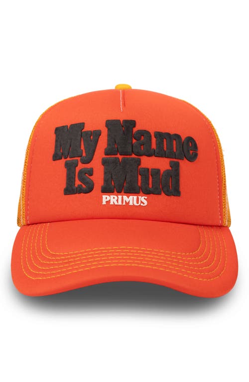 PLEASURES PLEASURES Mud Snapback Trucker Hat