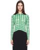 PLEATS PLEASE ISSEY MIYAKE PLEATS PLEASE ISSEY MIYAKE Green & Blue Basket Shirt - 1