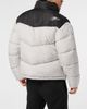 PLEIN SPORT PLEIN SPORT Puffer Jacket Men - 3