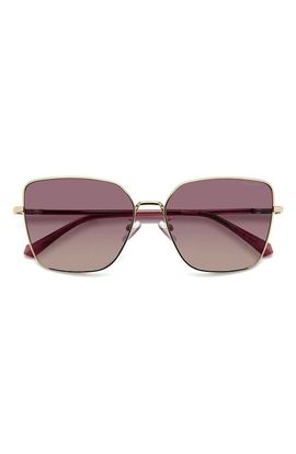 Polaroid Polaroid 59mm Polarized Butterfly Sunglasses