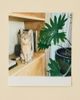 Polaroid Polaroid Hi-Print 3x3 Film 3-Pack in Assorted at Urban Outfitters - 2