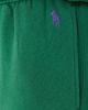 Polo Ralph Lauren Polo Ralph Lauren Arctic Fleece Ankle Joggers Bush Green - 6