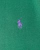 Polo Ralph Lauren Polo Ralph Lauren Arctic Fleece Knit Crew Neck Sweatshirt Bush Green - 6
