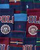 Polo Ralph Lauren Polo Ralph Lauren Crest Logo Crew Socks 6-Pack in Dark tones, Men's at Urban Outfitters - 2