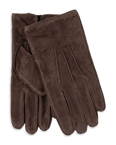 Polo Ralph Lauren Polo Ralph Lauren Everyday Suede Gloves