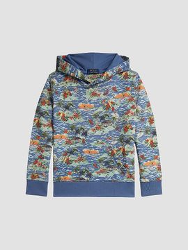 Polo Ralph Lauren Polo Ralph Lauren Girl's Little Boy's & Boy's Printed Cotton-Blend Hoodie