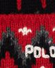 Polo Ralph Lauren Polo Ralph Lauren Holiday Fair Isle Beanie - 3
