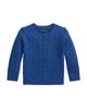 Polo Ralph Lauren Polo Ralph Lauren Kids Long Sleeve Cotton Cable-knit Crewneck Sweater - 1