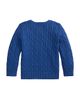 Polo Ralph Lauren Polo Ralph Lauren Kids Long Sleeve Cotton Cable-knit Crewneck Sweater - 2