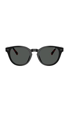 Polo Ralph Lauren Polo Ralph Lauren Phantos Sunglasses