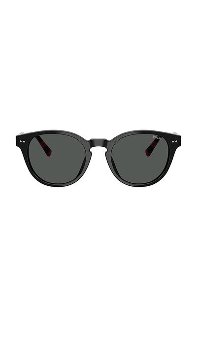 Polo Ralph Lauren Polo Ralph Lauren Phantos Sunglasses