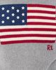 Polo Ralph Lauren Polo Ralph Lauren Roving USA Flag Sweater Drift Grey Melange - 6