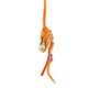 Polo Ralph Lauren Polo Ralph Lauren Shell Bag Charm - 5