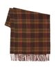 Polo Ralph Lauren Polo Ralph Lauren Wool & Cashmere Plaid Scarf - 3