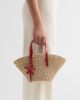 Poolside Women's The East West Mini Tote Bag - 4