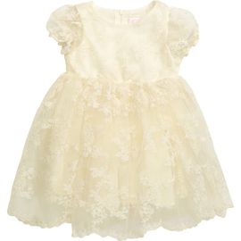Popatu Popatu Floral Embroidered Organza Fit & Flare Dress