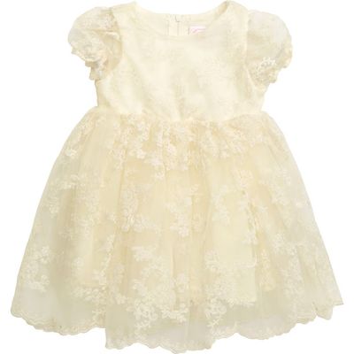 Popatu Popatu Floral Embroidered Organza Fit & Flare Dress