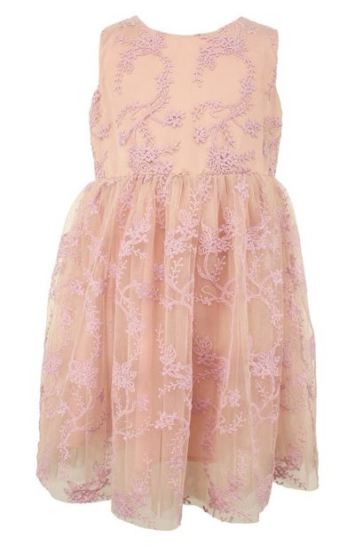 Popatu Popatu Kids' Embroidered Overlay Tulle Dress