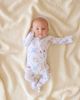 Posh Peanut Posh Peanut Unisex Oxford Footie Zippered One Piece - 6