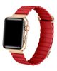 Posh Tech Posh Tech Dakota Apple Watch® Watchband - 3