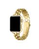 Posh Tech Posh Tech Emery Stainless Steel Band for Apple Watch - 1