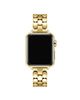 Posh Tech Posh Tech Emery Stainless Steel Band for Apple Watch - 4