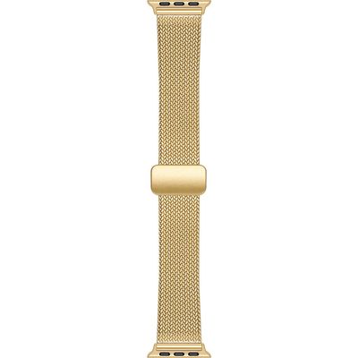 Posh Tech Posh Tech Stainless Steel Mesh Apple Watch® Watchband