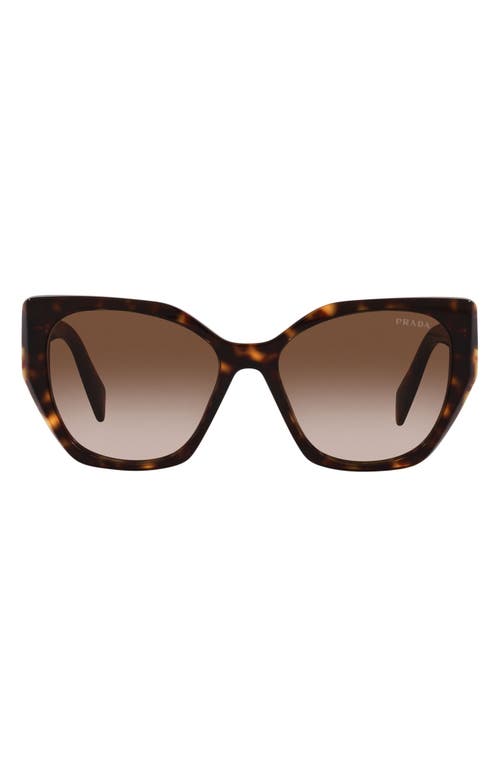 Prada Prada 56mm Cat Eye Sunglasses