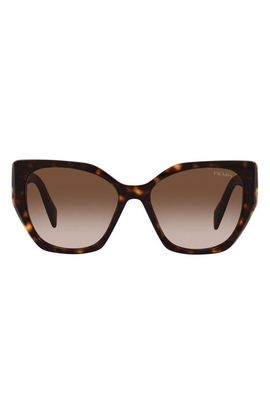 Prada Prada 56mm Cat Eye Sunglasses