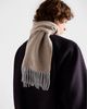 Prada Prada Cashmere And Wool Scarf - 3