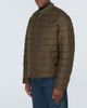 Prada Prada Down jacket - 3