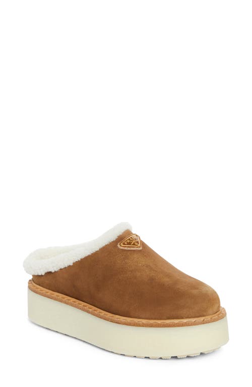 Prada Prada Evolve Genuine Shearling Clog