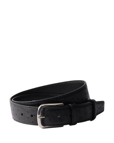 Prada Prada Ostrich Leather Belt