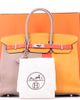 Pre-Owned Hermes Pre-Owned Hermes Birkin Handbag Cascade Tricolor Clemence and Swift with Brushed Palladium Hardware 35 - 2