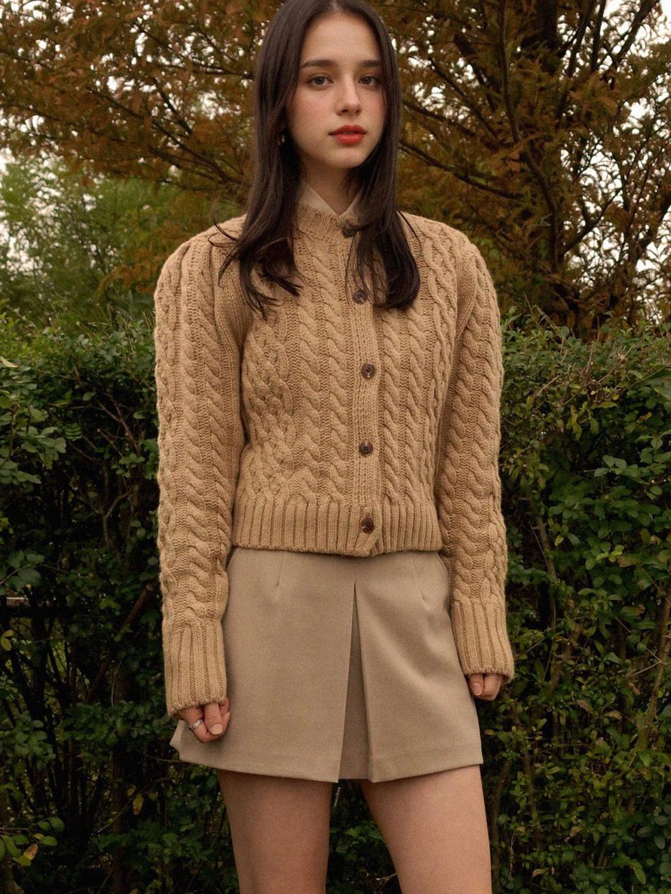 PREMIERE AMOUR Classic A-line Regular Fit Skirt Pants [Beige]