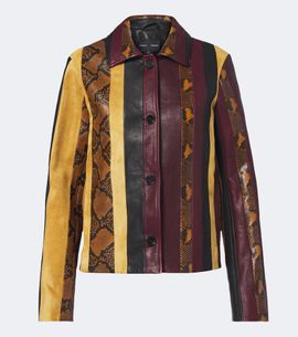 Proenza Schouler Proenza Schouler Sirine snake-effect striped leather jacket