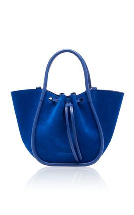 Proenza Schouler Proenza Schouler Small Ruched Tote In Soft Suede
