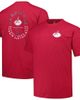 PROFILE Men's Profile Cardinal Arizona Cardinals Big & Tall Two-Hit Throwback T-Shirt  - 1