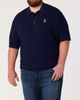 Psycho Bunny Psycho Bunny Big & Tall Jace Knit Polo Shirt - 3