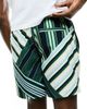 Psycho Bunny Psycho Bunny Drew All Over Print Swim Trunks - 2