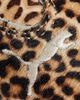 Puma PUMA Speedcat sneakers in leopard print-Multi - 4