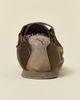 Puma Puma Women's H-Street Etoile Sneakers in Matte Bronze/Mouse Gray, Women's at Urban Outfitters - 4