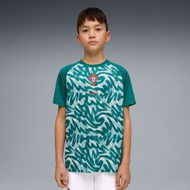 PUMA Youth Puma Green Portugal National Team Pre-Match Jersey 