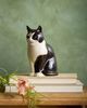Quail Ceramics Barney Cat Vase - 3