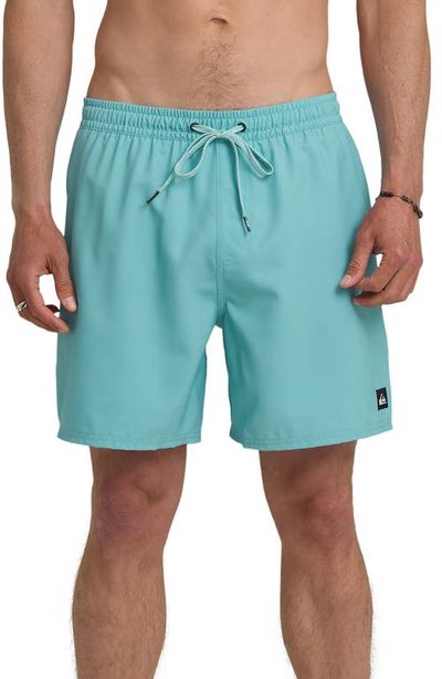 Quiksilver Quiksilver Everyday 17" Solid Stretch Swim Trunks