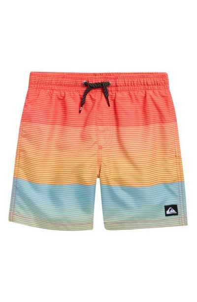 Quiksilver Quiksilver Everyday Mix Stripe Board Shorts