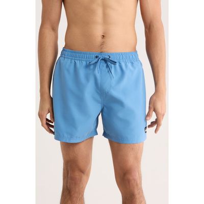 Quiksilver Quiksilver Everyday Volley 15-Inch Swim Trunks