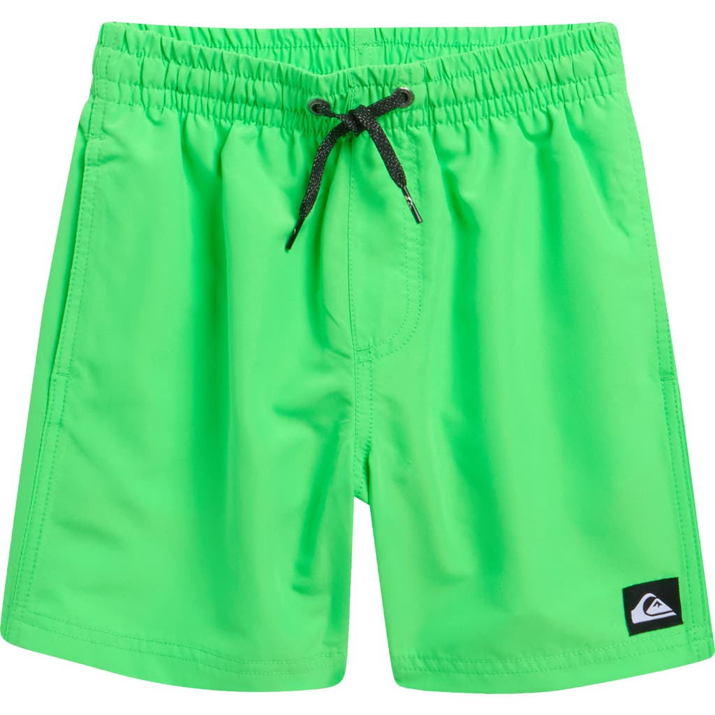 Quiksilver Quiksilver Kids' Everyday Volley Swim Trunks